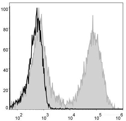 Mouse splenocytes are stained with FITC Anti-Mouse MHC II (I-A/I-E) Antibody[Used at 0.2 μg/10<sup>6</sup> cells dilution](filled gray histogram). Unstained splenocytes (blank black histogram) are used as control.