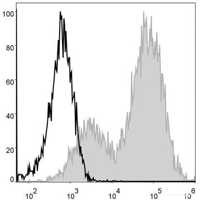 Mouse splenocytes are stained with PE/Cyanine5 Anti-Mouse MHC II (I-A/I-E) Antibody[Used at 0.02 μg/10<sup>6</sup> cells dilution](filled gray histogram). Unstained splenocytes (blank black histogram) are used as control.