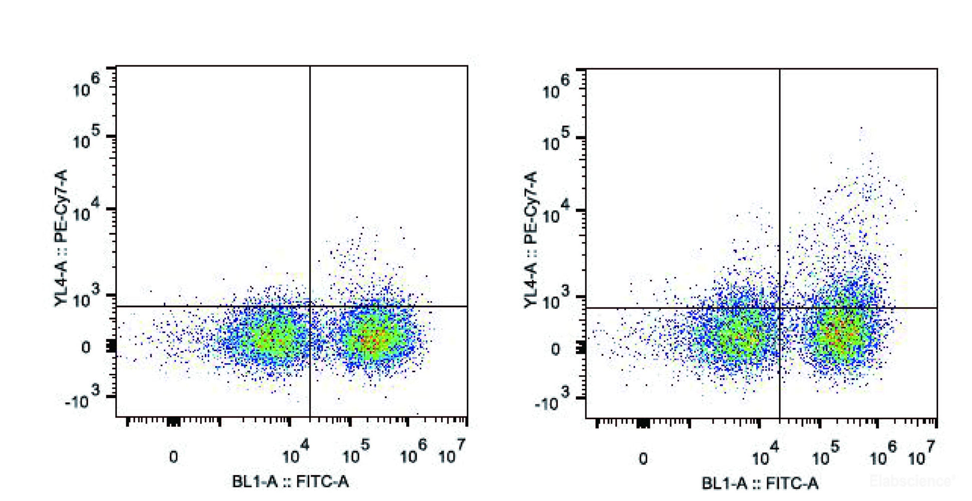 C57BL/6 murine splenocytes are stained with PE/Cyanine7 Anti-Mouse CD11c Antibody and FITC Anti-Mouse MHC II (I-A/I-E) Antibody(Right). Splenocytes stained with FITC Anti-Mouse MHC II (I-A/I-E) Antibody(Left) are used as control.