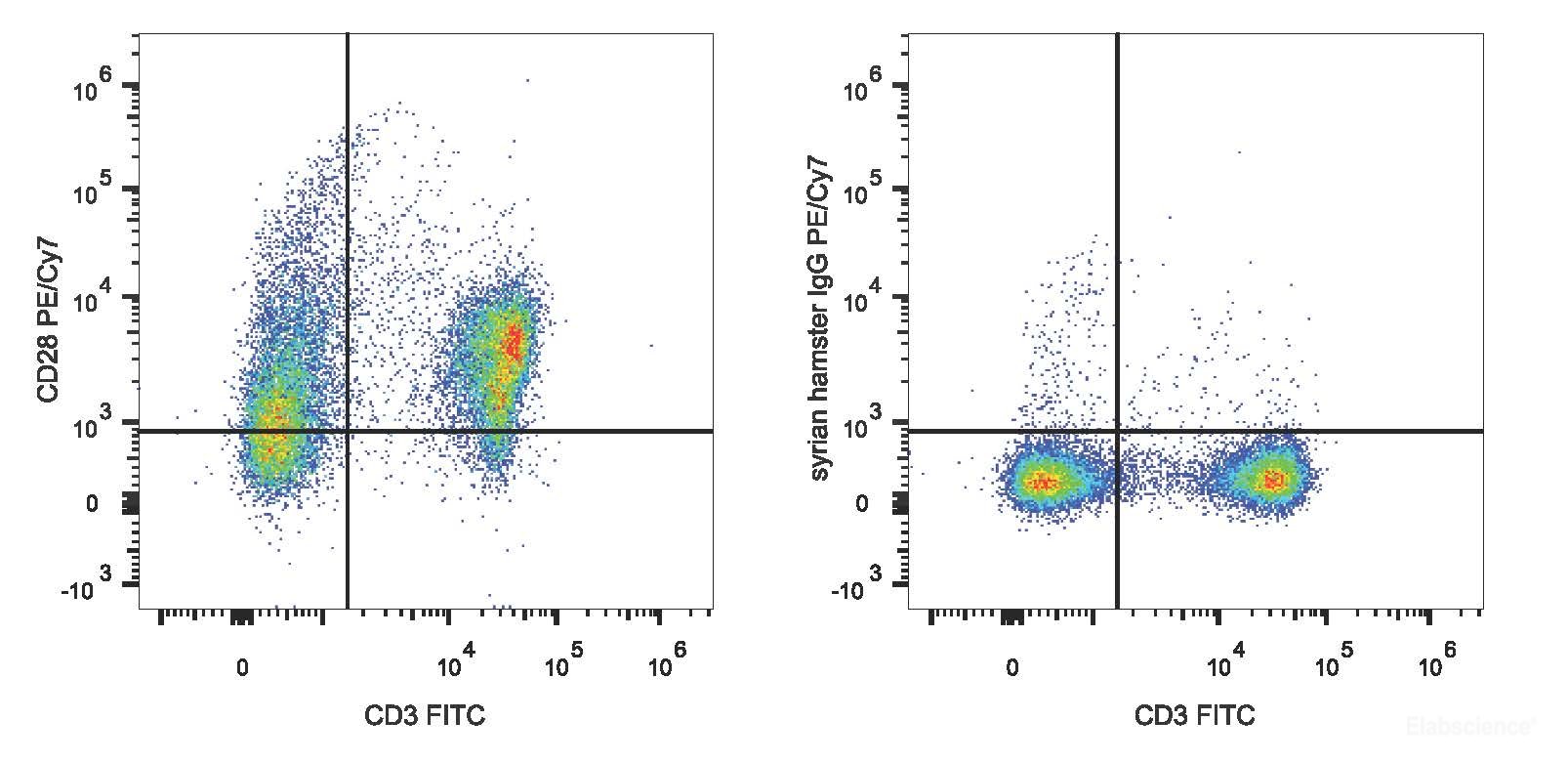 C57BL/6 murine splenocytes are stained with PE/Cyanine7 Anti-Mouse CD28 Antibody and FITC Anti-Mouse CD3 Antibody(Left). Splenocytes stained with FITC Anti-Mouse CD3 Antibody and PE/Cyanine7 Rat IgG1 Isotype Control(Right) are used as control.