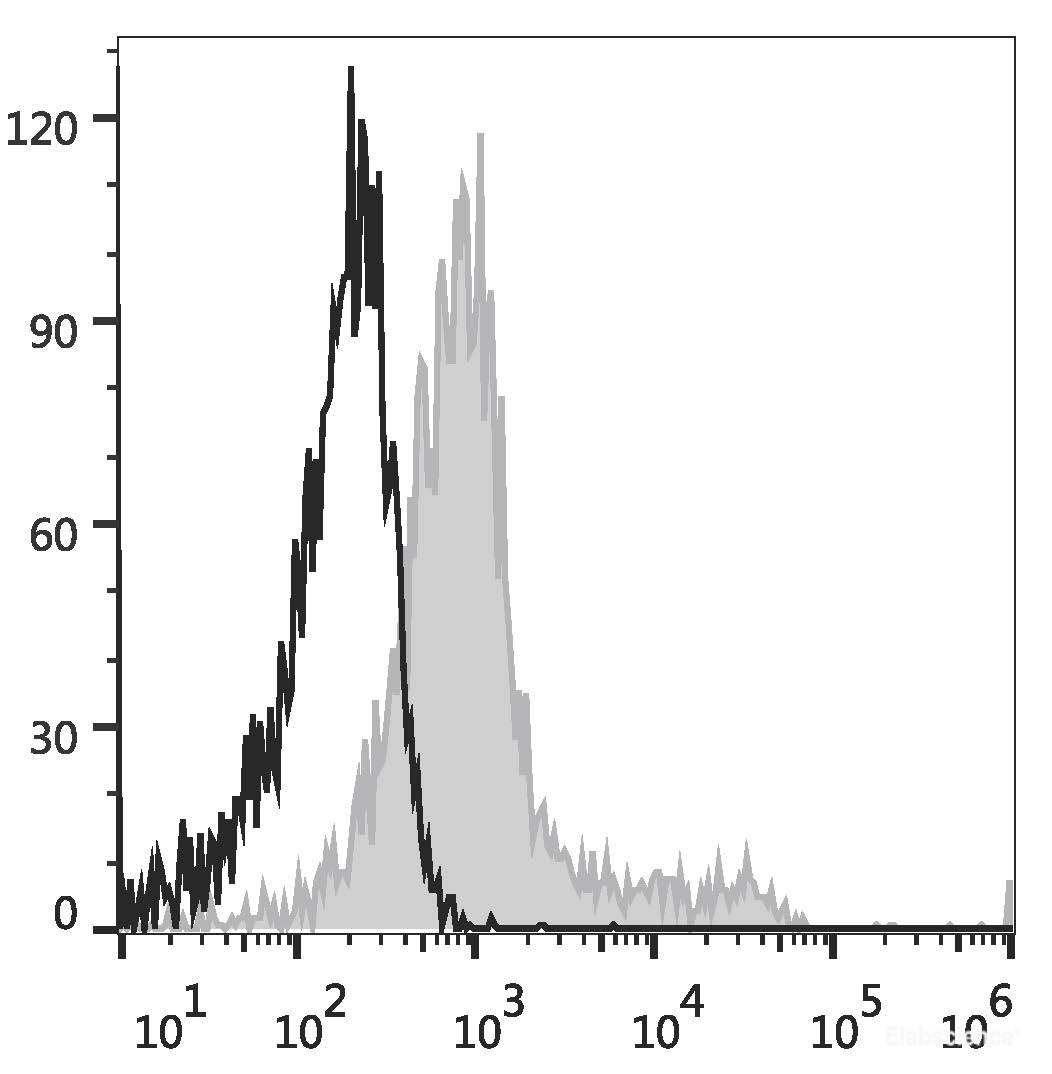 APC Anti-Mouse CD117 Antibody[2B8]