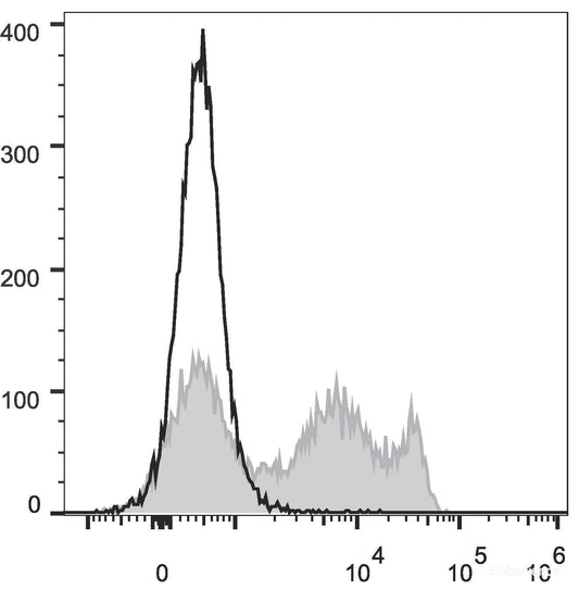 FITC Anti-Rat CD8a Antibody[OX-8]