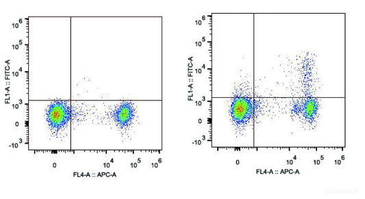 C57BL/6 murine splenocytes are stained with FITC Anti-Mouse CD25 Antibody[Used at 0.2 μg/10<sup>6</sup> cells dilution] and APC Anti-Mouse CD4 Antibody(Right). Splenocytes stained with APC Anti-Mouse CD4 Antibody are used as control.