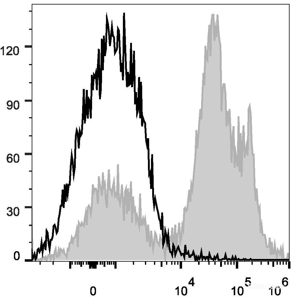 C57BL/6 murine splenocytes are stained with PE/Cyanine7 Anti-Mouse CD24 Antibody[Used at 0.2 μg/10<sup>6</sup> cells dilution](filled gray histogram). Unstained splenocytes (empty black histogram) are used as control.