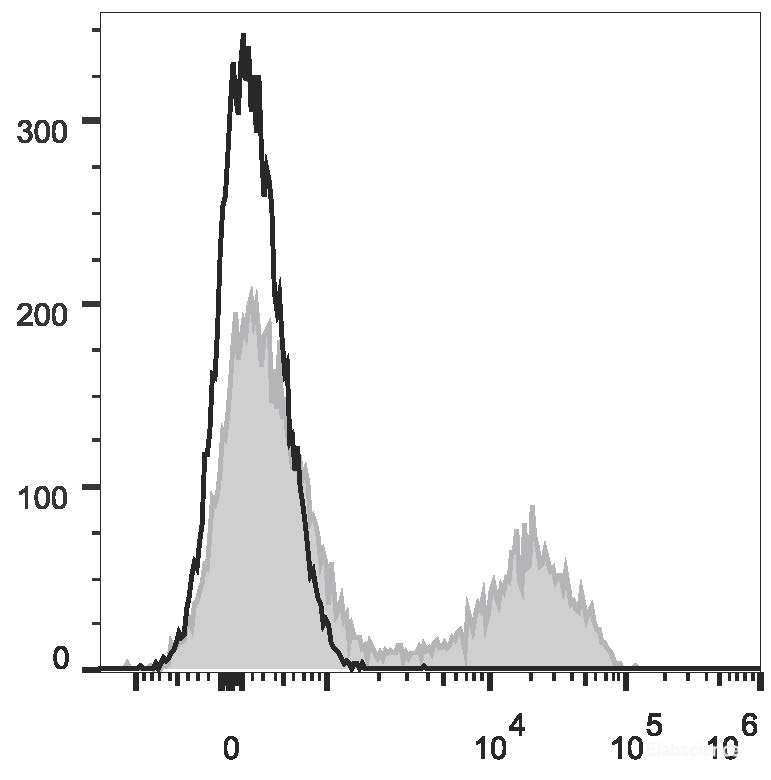 PE Anti-Mouse CD5 Antibody[53-7.3]