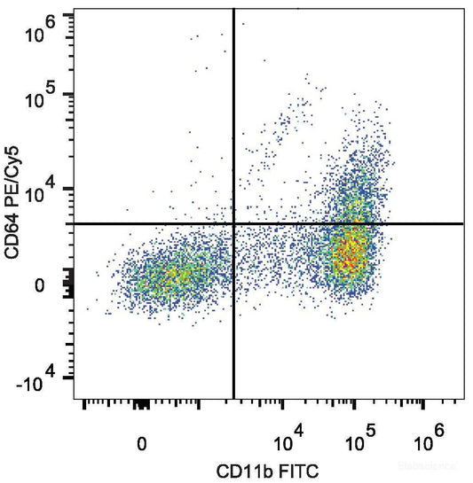 C57BL/6 murine bone marrow cells are stained with PE/Cyanine5 Anti-Mouse CD64 Antibody[Used at 0.2 μg/10<sup>6</sup> cells dilution] and FITC Anti-Mouse CD11b Antibody.