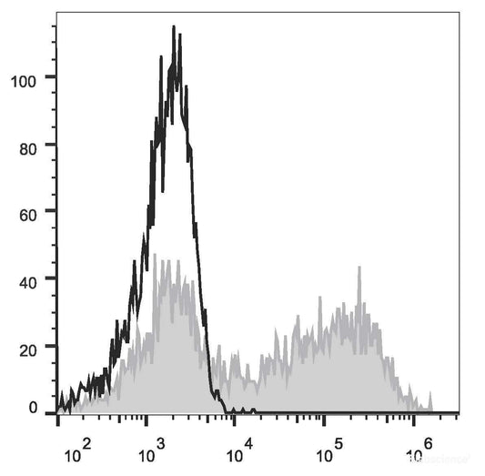 HEK293T cells transiently transfected with pcDNA3.1 plasmid encoding Mouse IL-10 gene are stained with PE Anti-Mouse IL-10 Antibody[Used at 0.2 μg/10<sup>6</sup> cells dilution](filled gray histogram)or PE Rat IgG2b, κ lsotype Control(empty black histogram).