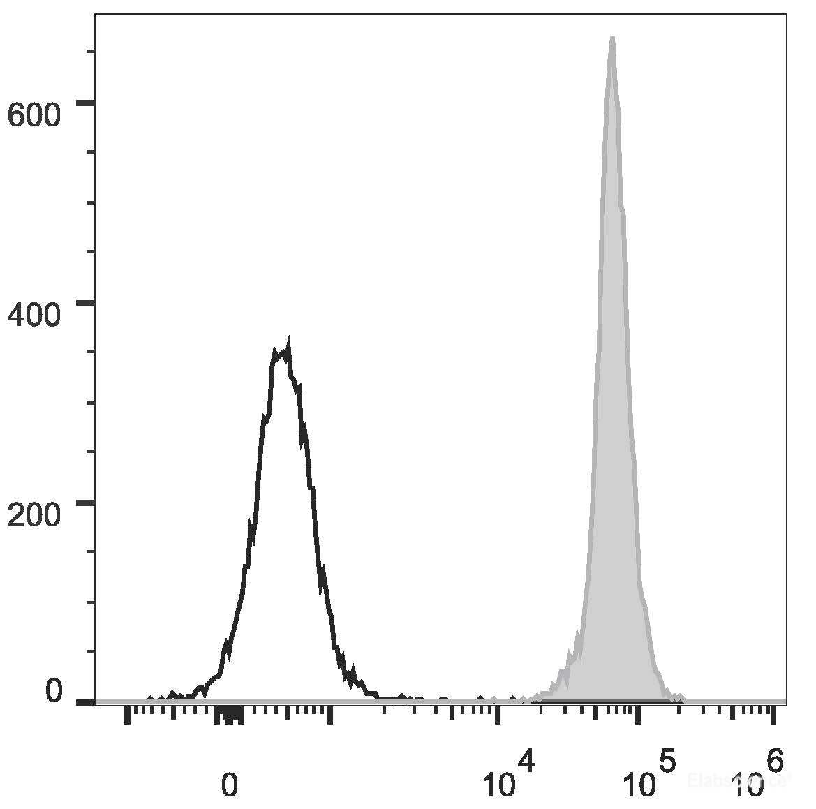 FITC Anti-Rat CD45 Antibody[OX-1]