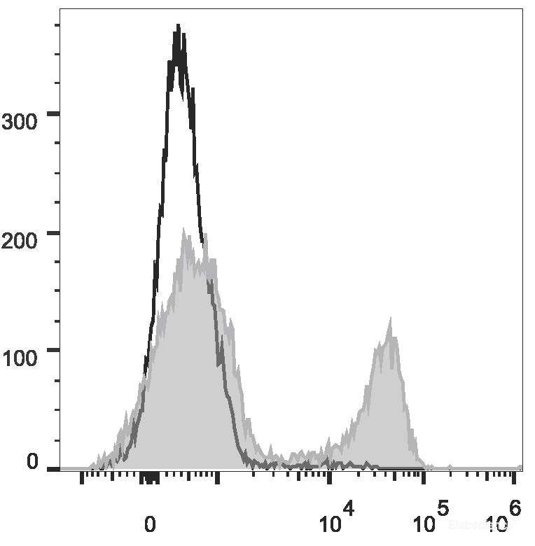 PE Anti-Rat CD3 Antibody[G4.18]