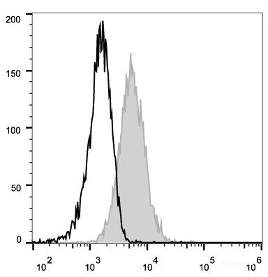 Mouse endothelial cells(bEnd.3) are stained with PE Anti-Mouse CD105 Antibody[Used at 0.2 μg/10<sup>6</sup> cells dilution] (filled gray histogram). PE Mouse IgG2a, κ Isotype Control stained cells are used as control.