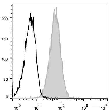 Mouse endothelial cells(bEnd.3) are stained with APC Anti-Mouse CD105 Antibody[Used at 0.2 μg/10<sup>6</sup> cells dilution](filled gray histogram). Mouse IgG2a, κ Isotype Control stained cells are used as control.
