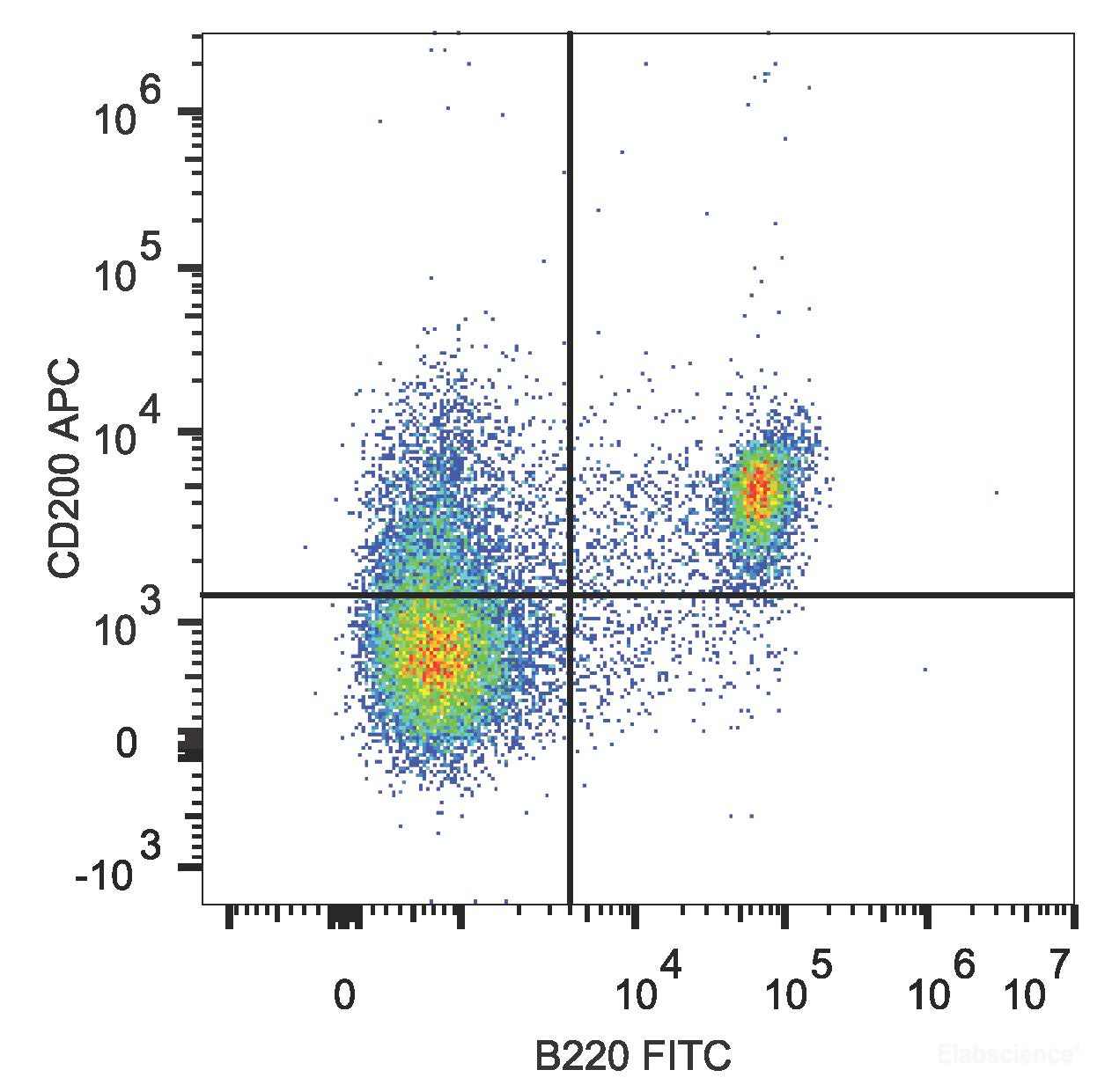 C57BL/6 murine splenocytes are stained with APC Anti-Mouse CD200 Antibody[Used at 0.2 μg/10<sup>6</sup> cells dilution] and FITC Anti-Mouse CD45R/B220 Antibody.