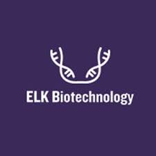 Simian Fcγ(FcFragment of IgG) ELISA Kit