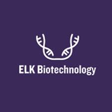 Mouse IgG(Immunoglobulin G) ELISA Kit
