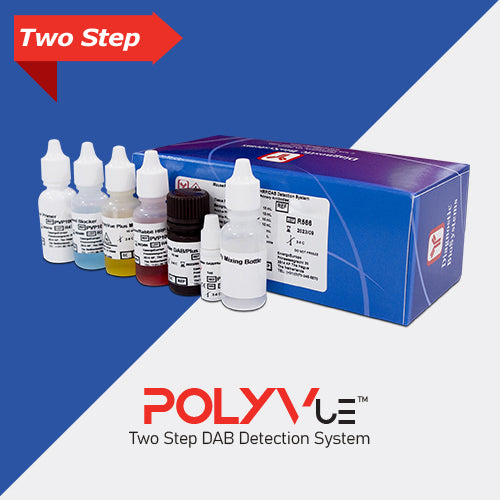 PolyVue™ Plus Mouse/Rabbit HRP/DAB Kit