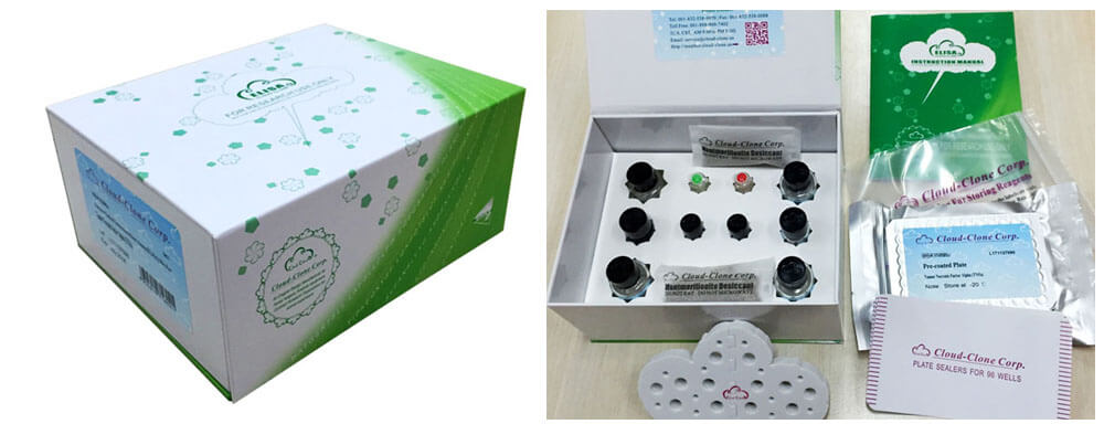 ELISA Kit for Rho Associated Coiled Coil Containing Protein Kinase 2 (Rock2)