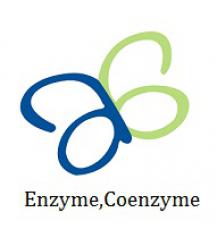 Human Cytochrome P450 3A (CYP3A) ELISA Kit