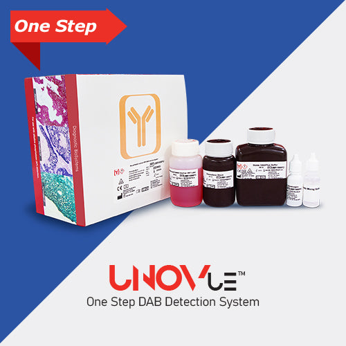 UnoVue™ Mouse/Rabbit AP Detection Reagent