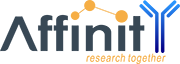 Collagen VII alpha 1 Antibody