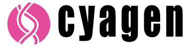 Recombinant Human IGF BP3