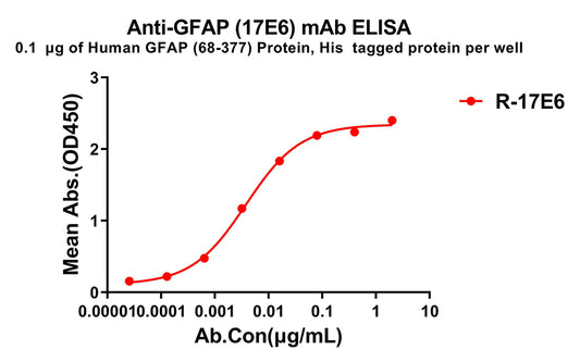 Anti-GFAP(68-377) antibody(17E6), Rabbit mAb