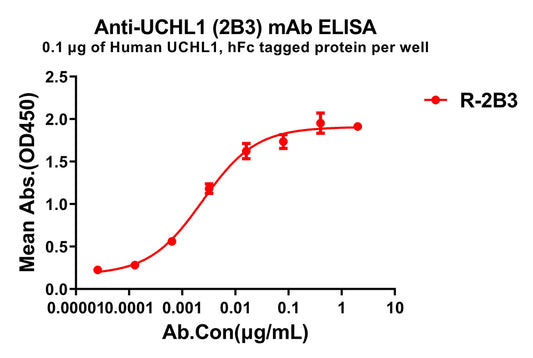 Anti-UCHL1 antibody(2B3), Rabbit mAb