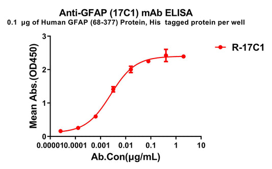 Anti-GFAP(68-377) antibody(17C1), Rabbit mAb
