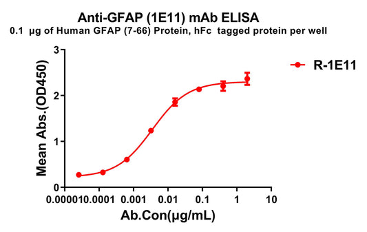 Anti-GFAP(7-66) antibody(1E11), Rabbit mAb