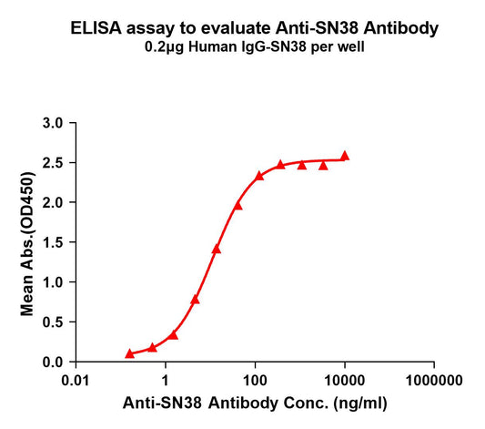 Anti-SN38 antibody(1G1); Rabbit mAb