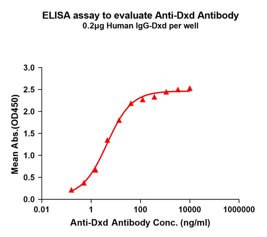 Anti-Dxd antibody(1A1); Rabbit mAb
