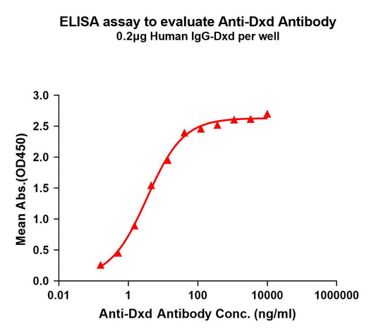 Anti-Dxd antibody(1A5); Rabbit mAb