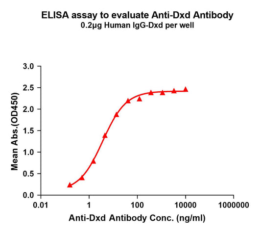 Anti-Dxd antibody(1A12); Rabbit mAb