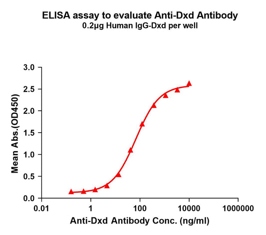 Anti-Dxd antibody(1E6); Rabbit mAb