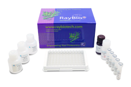 Human Chromogranin A ELISA Kit